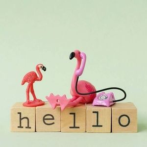 Welcome to my closet!